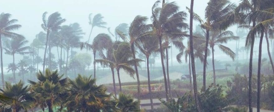 Did you know it could be harder to get Homeowners Insurance during Hurricane Season?