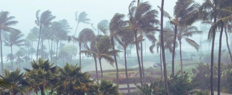 Is Your Emergency Hurricane Supply Kit Ready? Tips from Harris Insurance