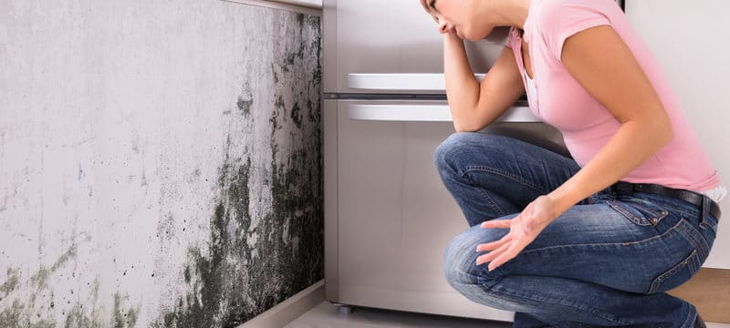 How to Avoid Mold in Your Home